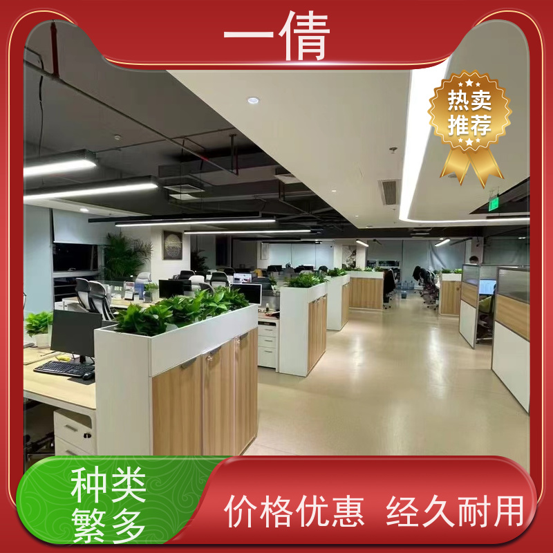 一倩花卉 前台 铁树 绿植租摆 全城配送 上门养护
