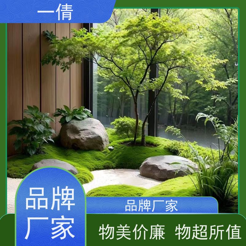 一倩花卉 前台 琴叶榕 室内植物出租 全城配送 上门养护