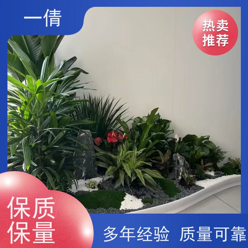 一倩花卉 前台 三层幸福树 开业花篮租赁 全城配送 上门养护