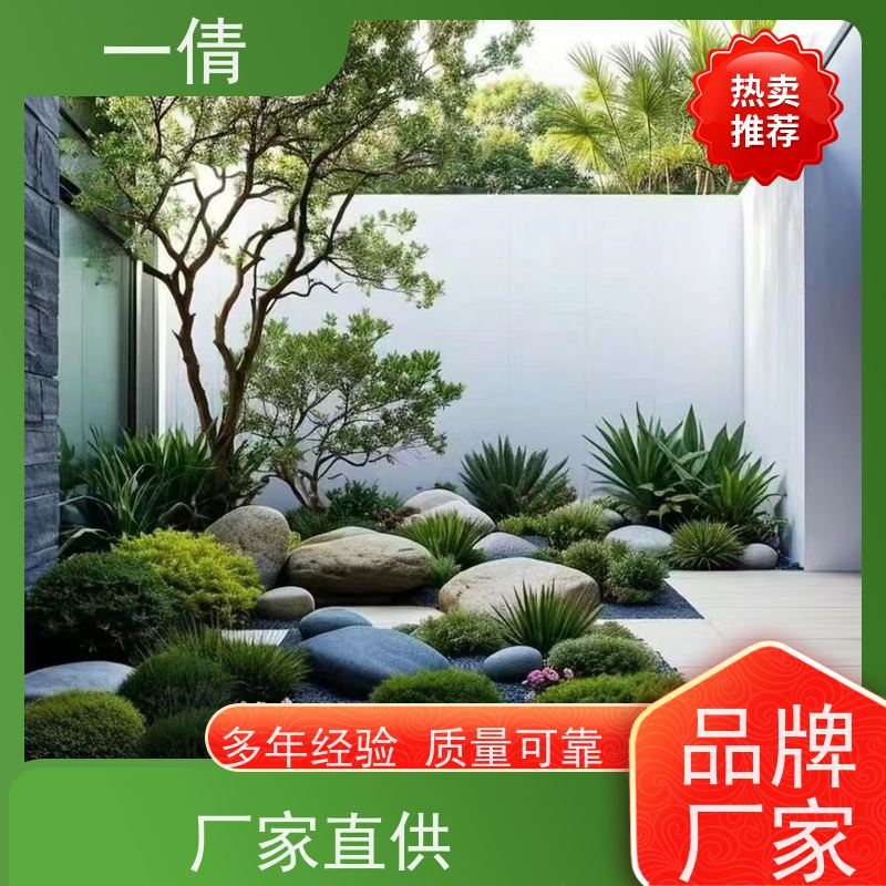 一倩花卉 办公室 小仙女海芋 绿植租摆 净化空气