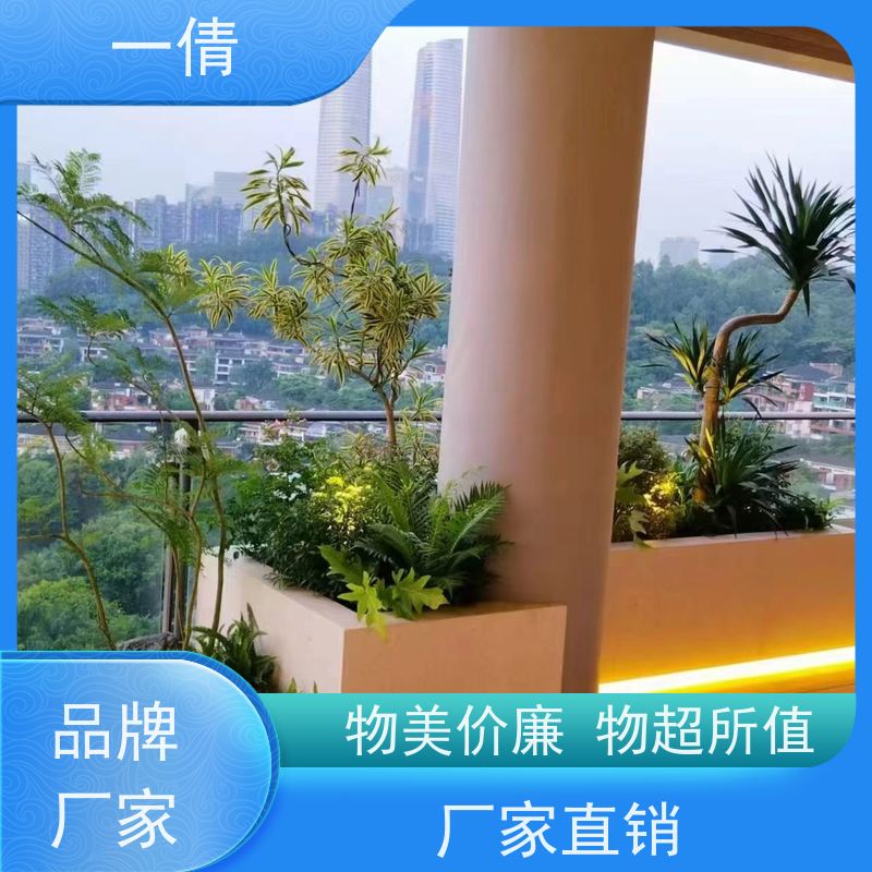 一倩花卉 前台 白掌 绿植租赁 全城配送 上门养护