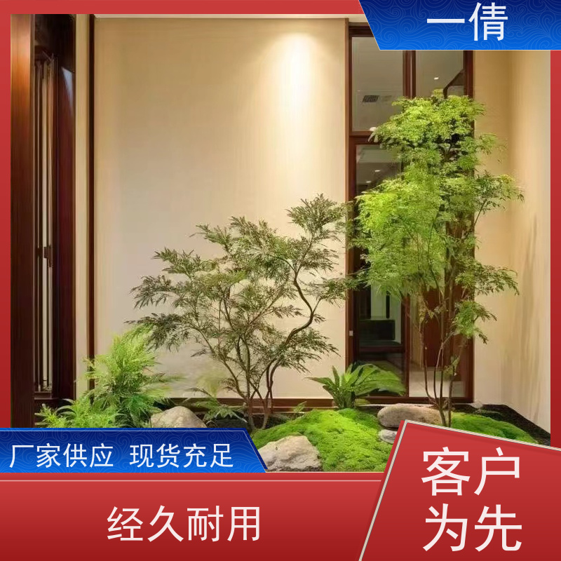 一倩花卉 办公室 白掌 绿植租赁 桌面绿植 花木护理
