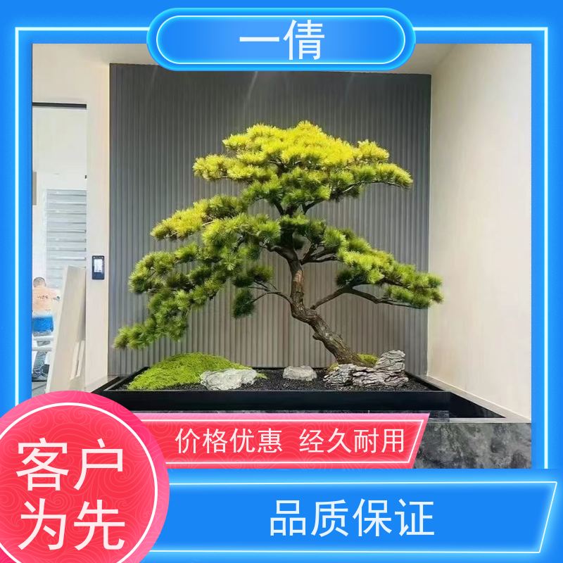 一倩花卉 前台 碧玉 开业花篮租赁 全城配送 上门养护