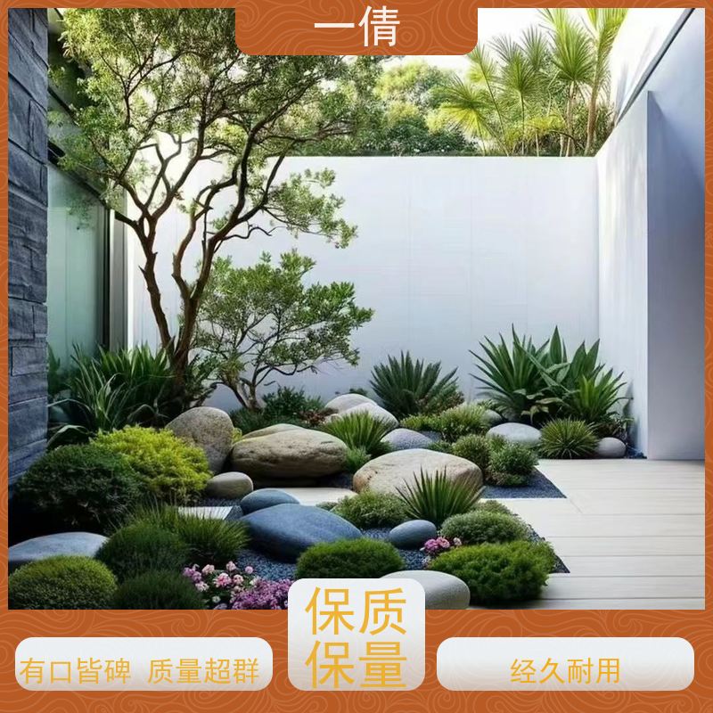 一倩花卉 前台 单杆幸福树 开业花篮租赁 净化空气