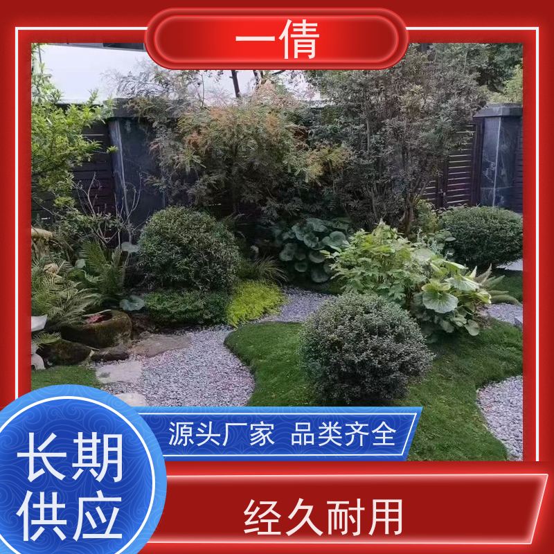 一倩花卉 前台 袖珍椰子 开业花篮租赁 净化空气