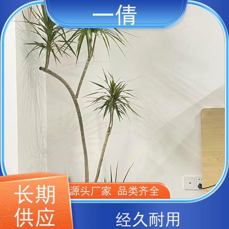 一倩花卉 深圳 碧玉 室内植物出租 全城配送 上门养护