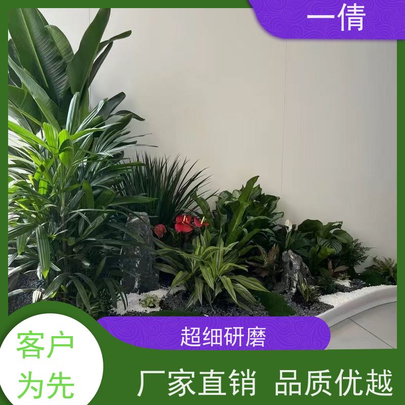 一倩花卉 前台 百合竹 绿植出售 全城配送 上门养护