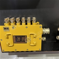 供信号照明 隔爆型BHD-10/127-28G电缆接线盒