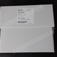 10350255思拓凡沃特曼603号标准纤维素滤筒