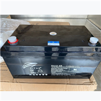 瑞达RA12-65蓄电池12V65AH免维护阀控式铅酸