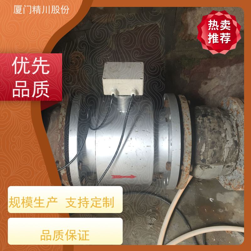 精川制药行业加药专用流量计测量下限3L/H减少出错概率