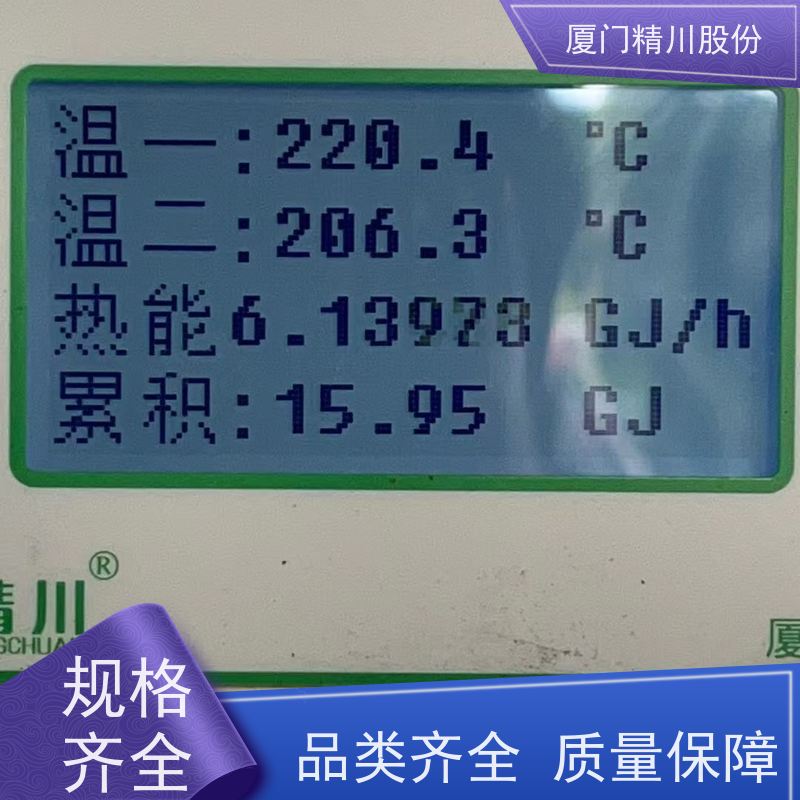精川股份 合成革厂 导热油炉流量计 耐高温400度 免费选型