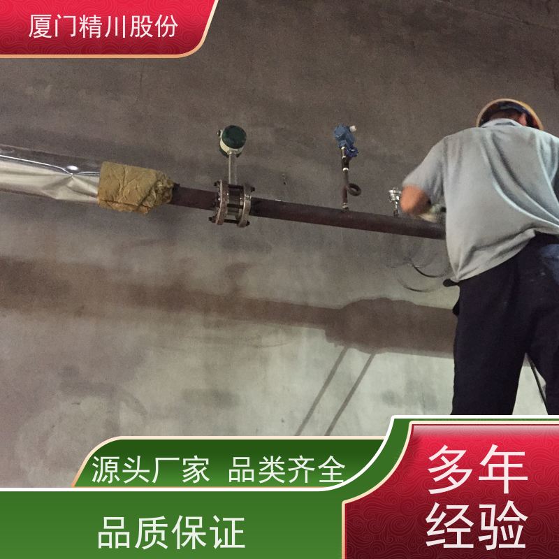 精川股份 制药厂 压缩空气流量计 工作时间长 维护量少