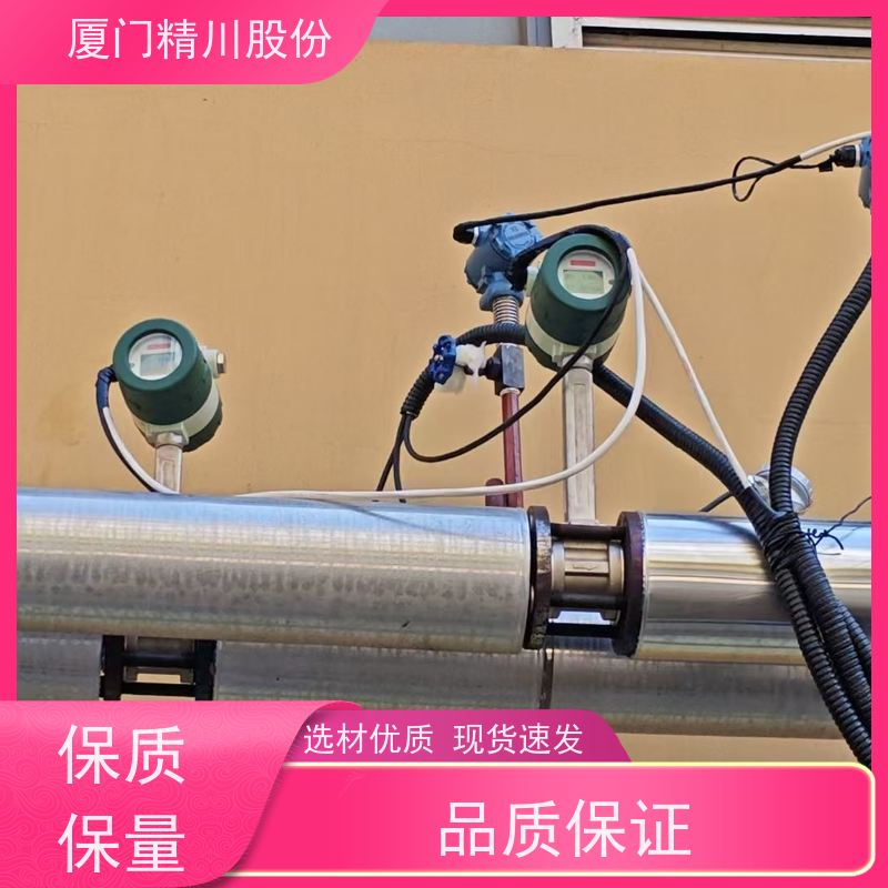 精川股份 胶带厂 压缩空气流量计 分体式温压补偿 维护量少