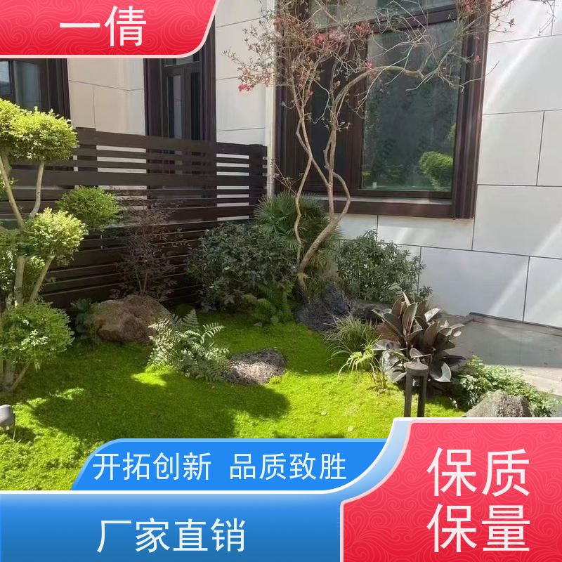 一倩花卉 前台 百合竹 绿植租摆 全城配送 上门养护