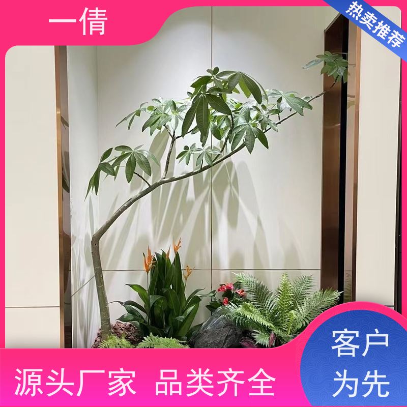 一倩花卉 深圳 杜鹃 开业花篮租赁 种类繁多 规格齐全