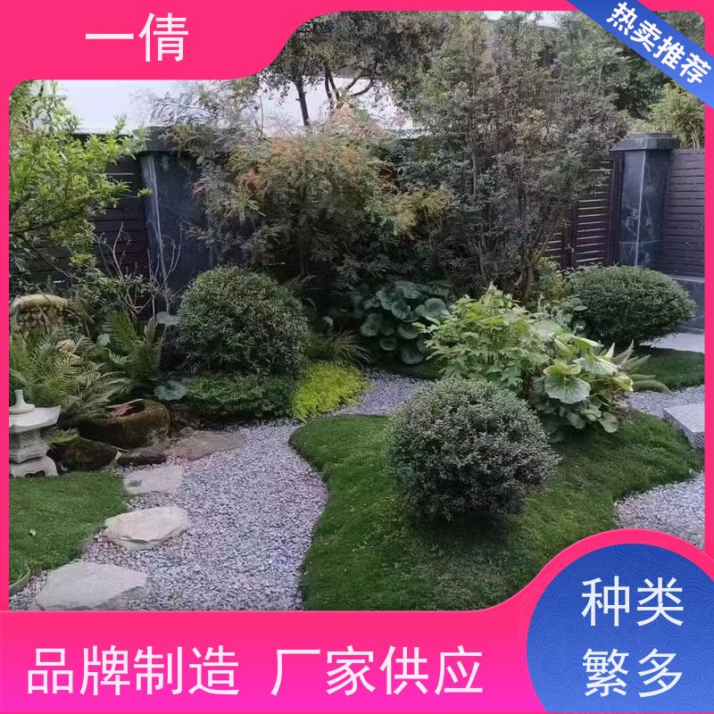 一倩花卉 办公室 鸭脚木 开业花篮租赁 净化空气