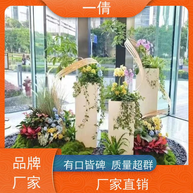 一倩花卉 办公室 平安树 室内植物出租 净化空气