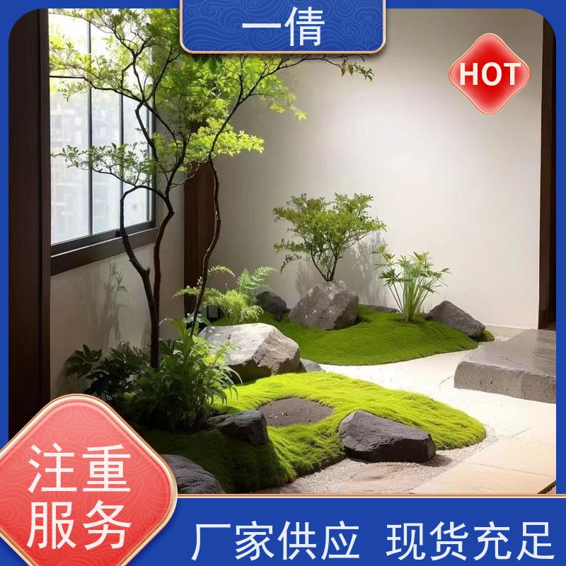 一倩花卉 深圳 鸭脚木 室内植物出租 桌面绿植 花木护理