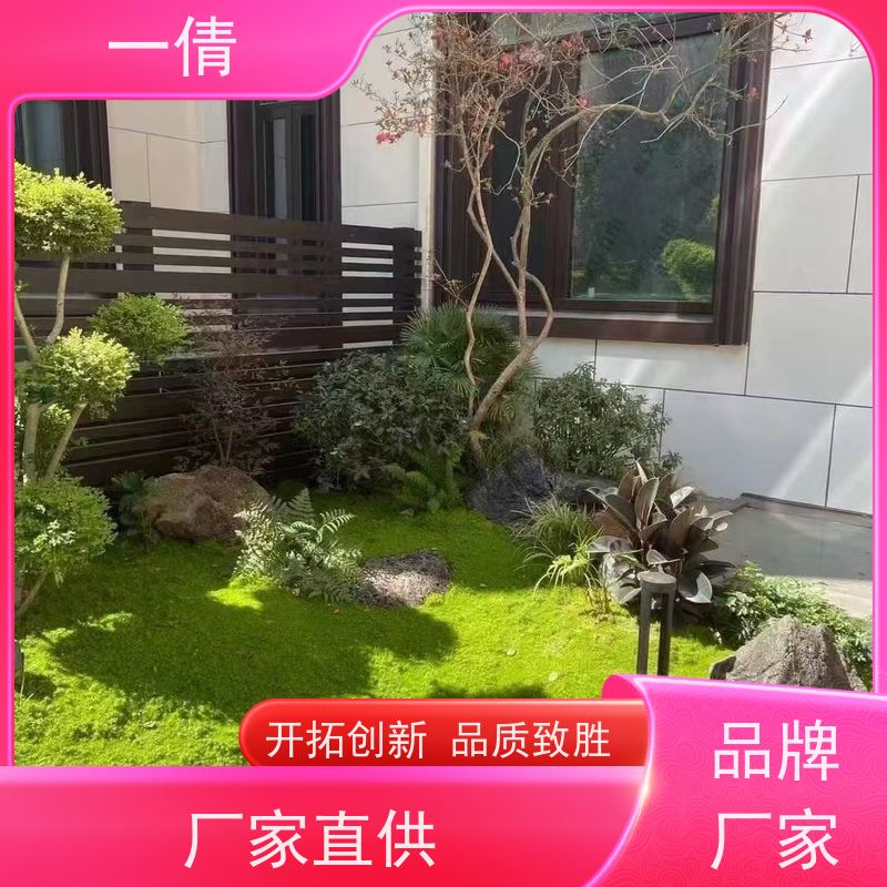一倩花卉 前台 小仙女海芋 室内植物出租 桌面绿植 花木护理