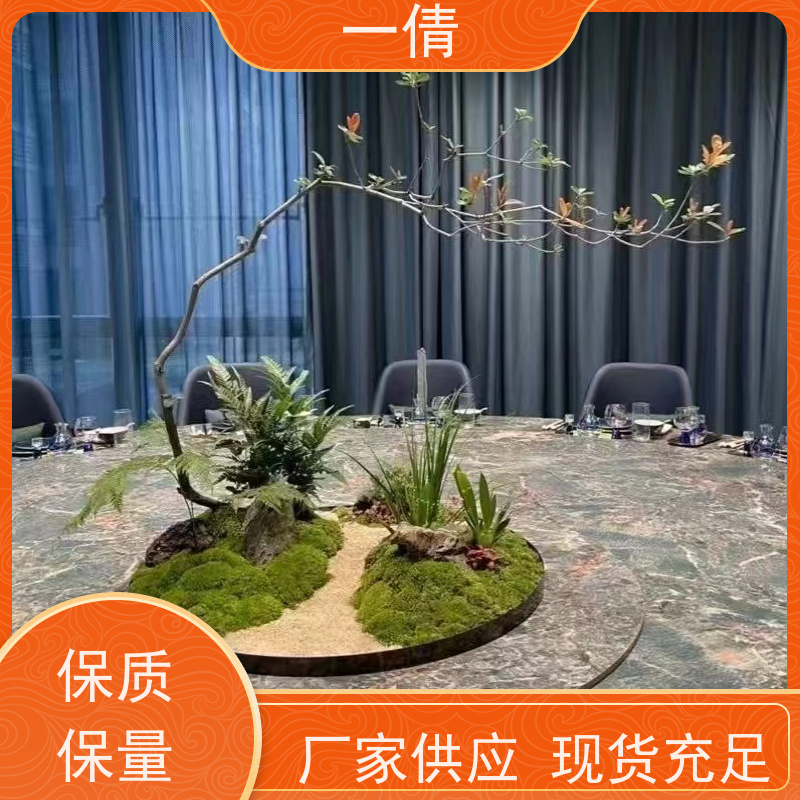 一倩花卉 室内 苹果树 绿植租赁 桌面绿植 花木护理