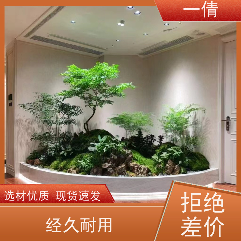 一倩花卉 前台 造型螺纹铁 室内植物出租 桌面绿植 花木护理