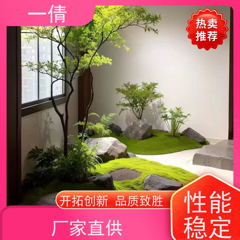 一倩花卉 办公室 多枝巴西木 花卉租赁 桌面绿植 花木护理