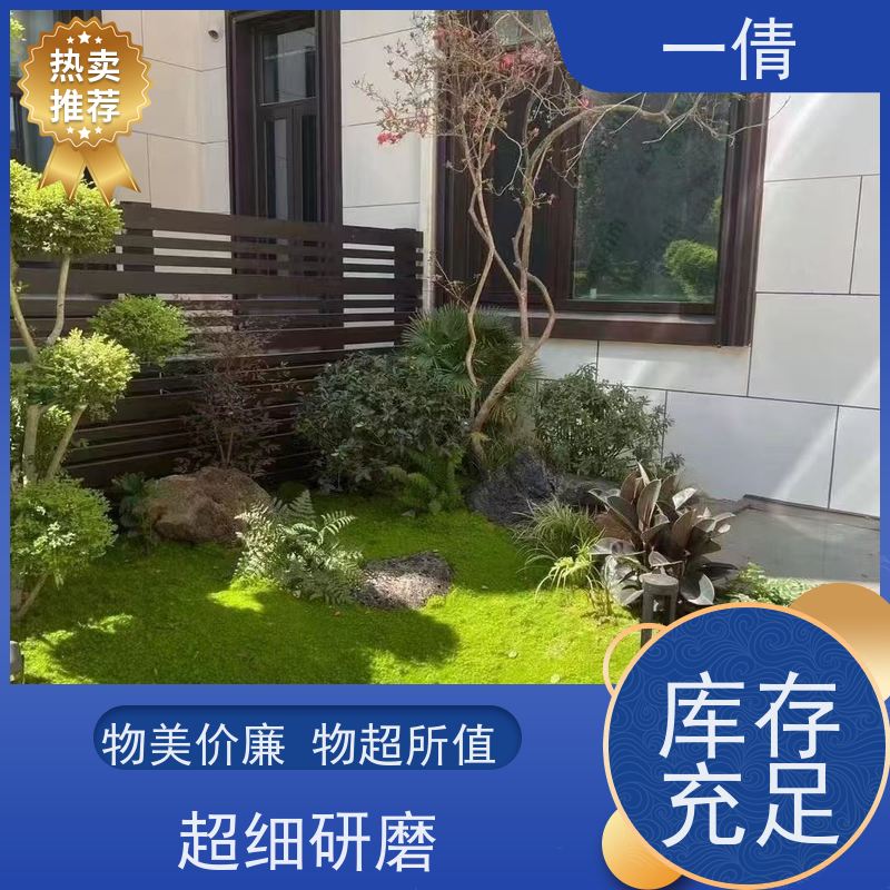 一倩花卉 办公室 白掌 绿植租摆 桌面绿植 花木护理