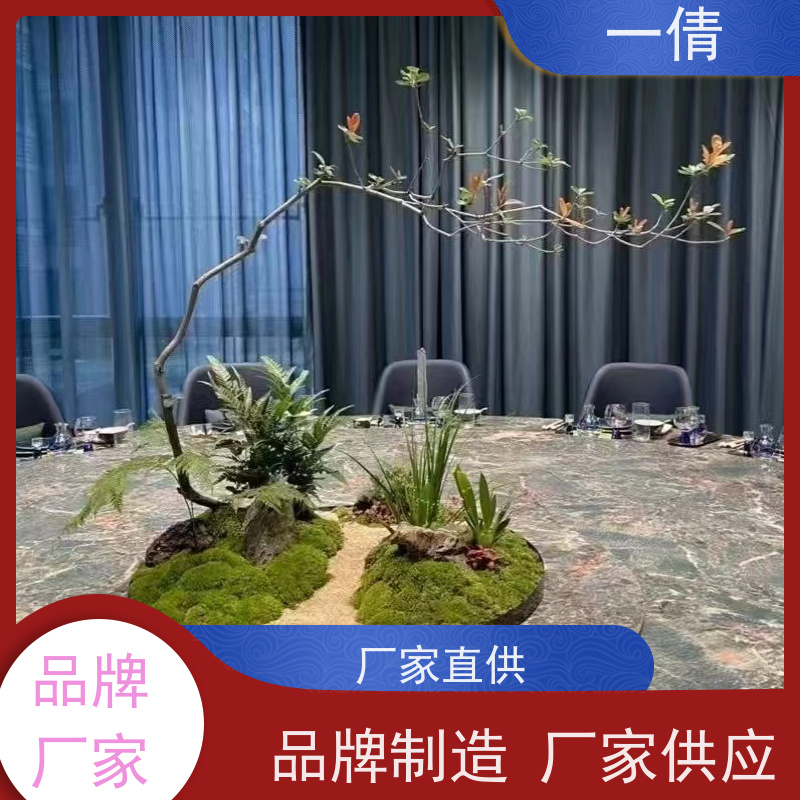 一倩花卉 深圳 平安树 室内植物出租 全城配送 上门养护