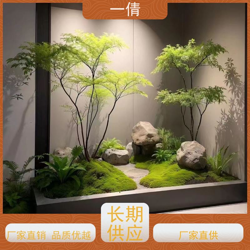 一倩花卉 深圳 鸭脚木 绿植出售 桌面绿植 花木护理