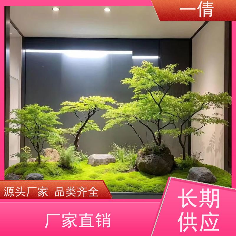 一倩花卉 办公室 造型螺纹铁 花卉租赁 净化空气