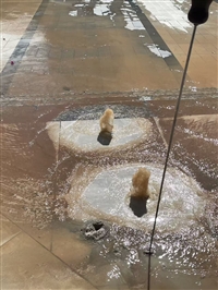 惠州市惠城区河南岸街道花边岭广场周边家庭暗管漏水检测24 小时急修 无隐形费