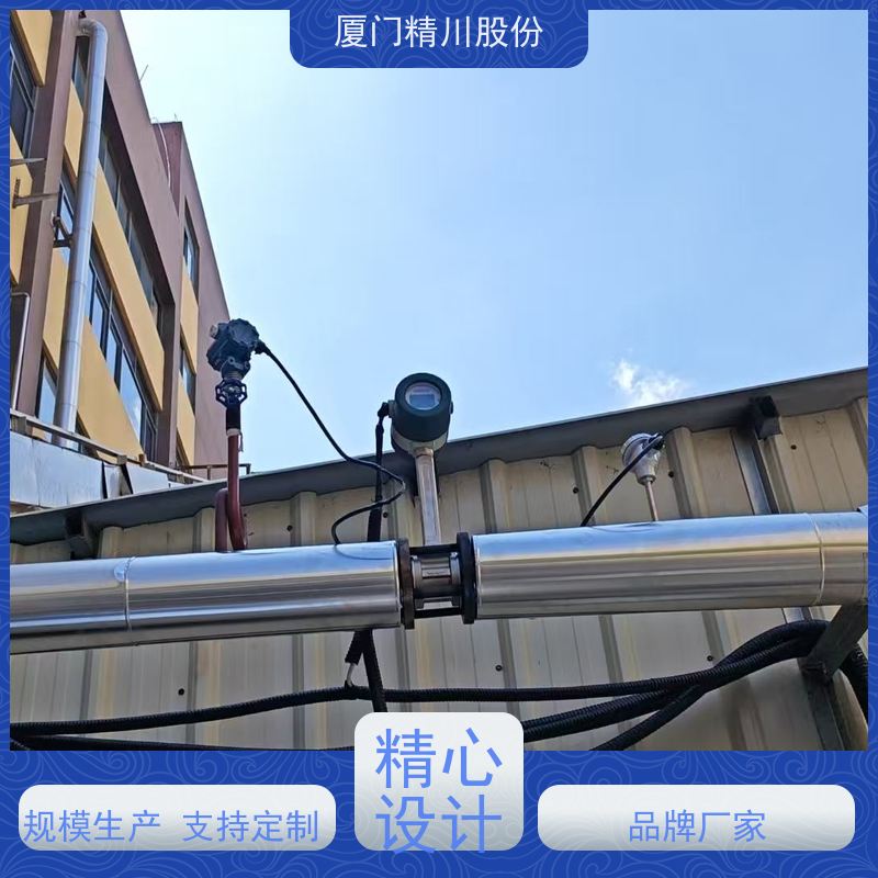 精川股份 合成革厂 过热蒸汽流量计 抗震性能好 真实应用案例多