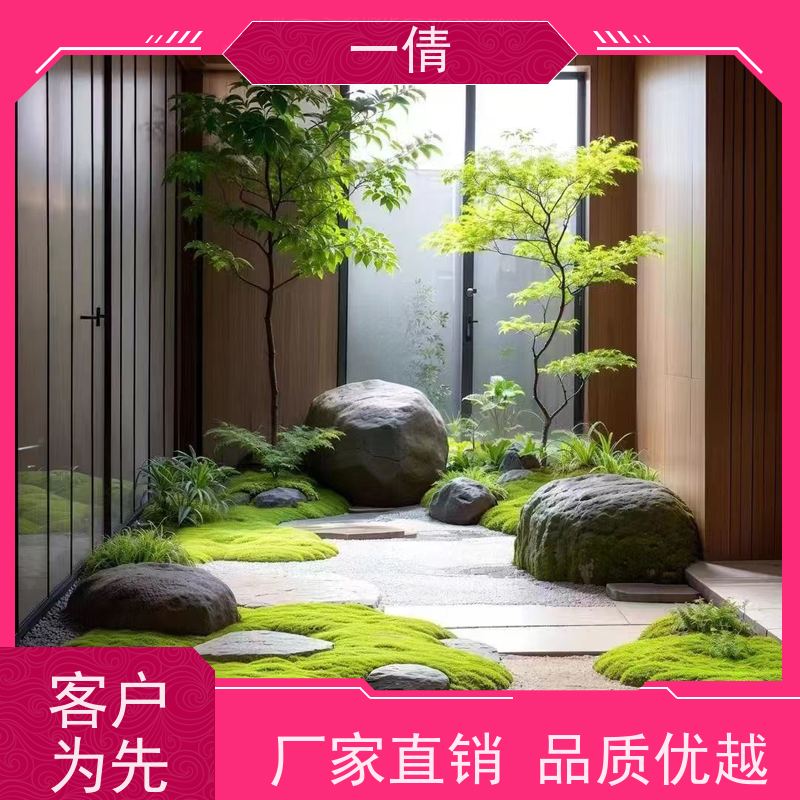 一倩花卉 室内 白掌 花卉租赁 种类繁多 规格齐全