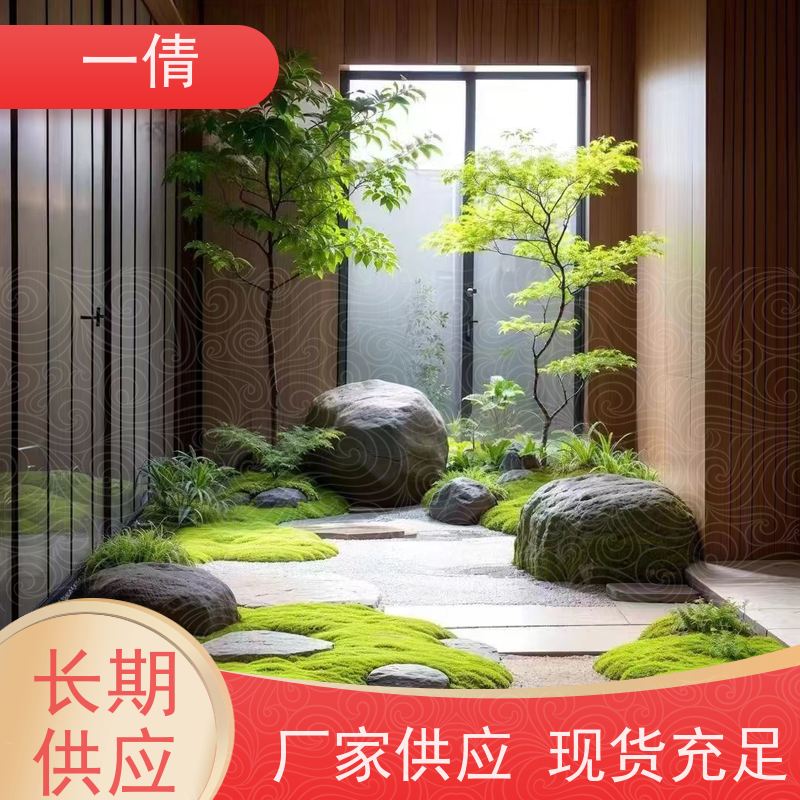 一倩花卉 深圳 小琴叶榕 室内植物出租 桌面绿植 花木护理