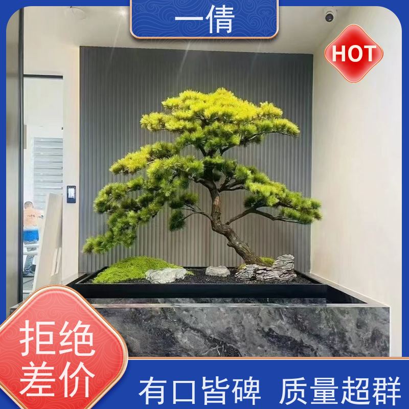 一倩花卉 办公室 绿巨人 绿植出售 种类繁多 规格齐全