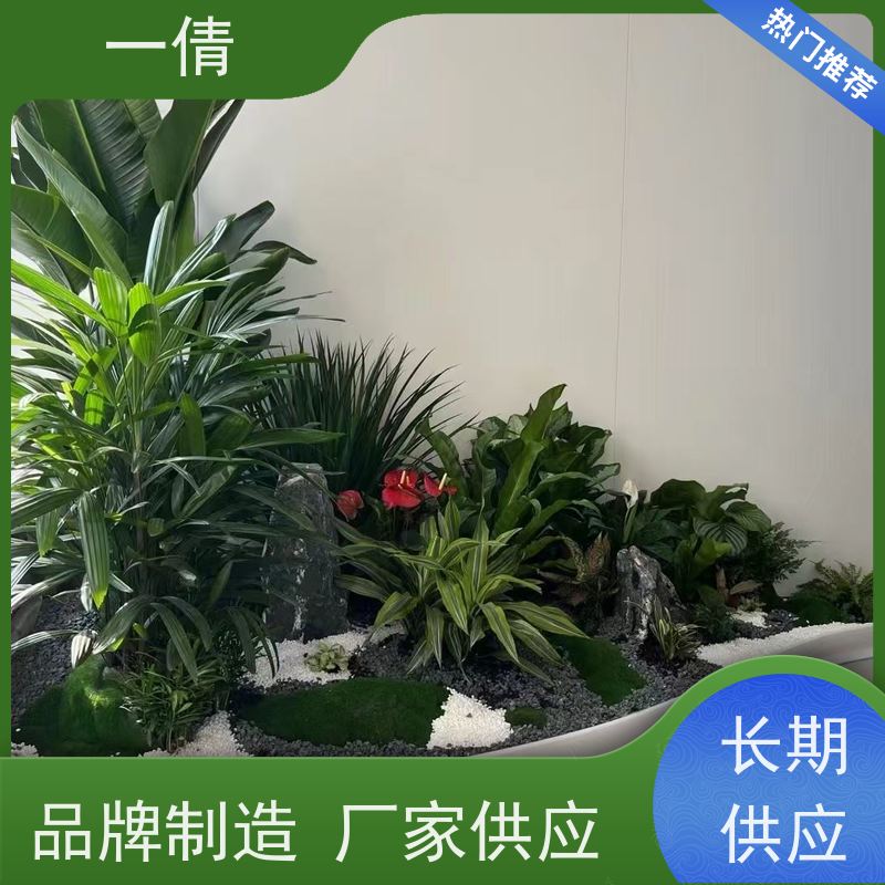 一倩花卉 办公室 龙血树 室内植物出租 桌面绿植 花木护理