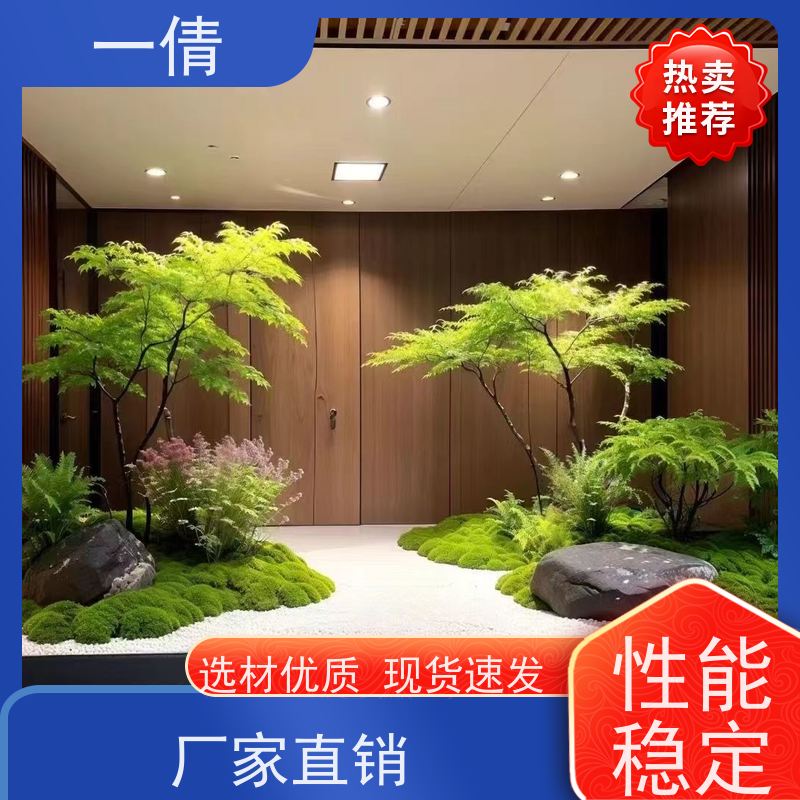 一倩花卉 室内 鸭脚木 室内植物出租 全城配送 上门养护