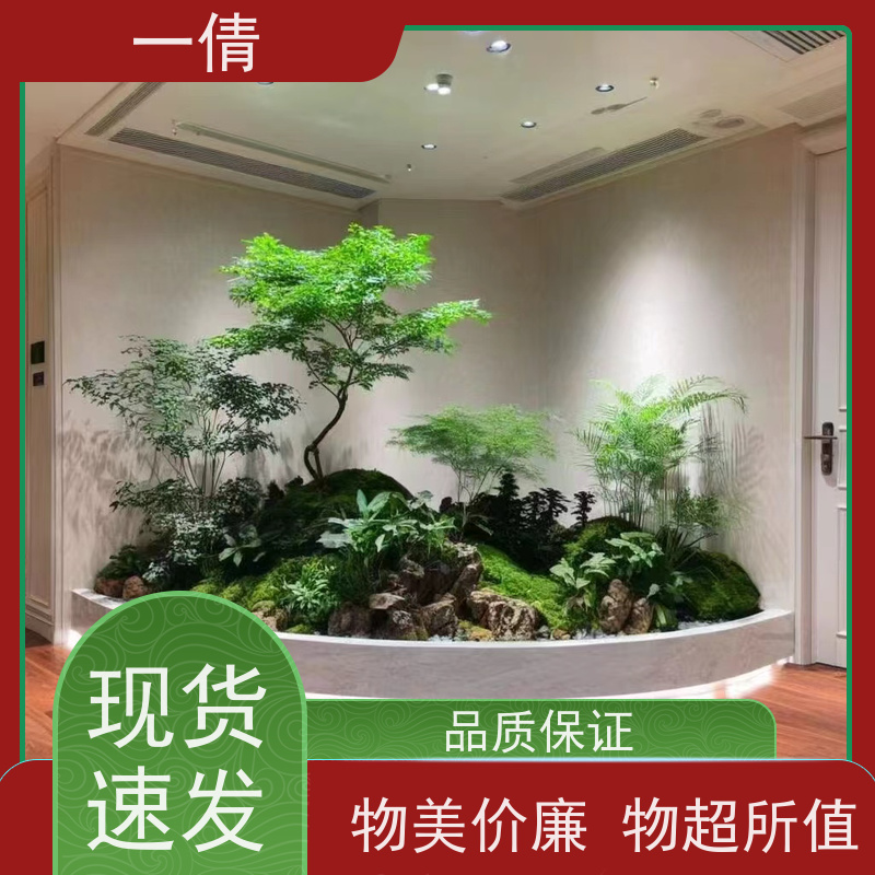 一倩花卉 室内 小仙女海芋 开业花篮租赁 种类繁多 规格齐全