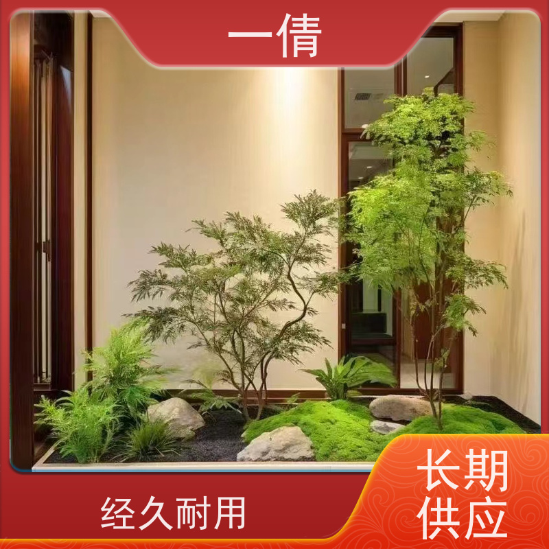 一倩花卉 深圳 琴叶榕 绿植出售 全城配送 上门养护