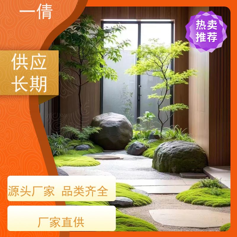 一倩花卉 办公室 巴西木 绿植租赁 桌面绿植 花木护理