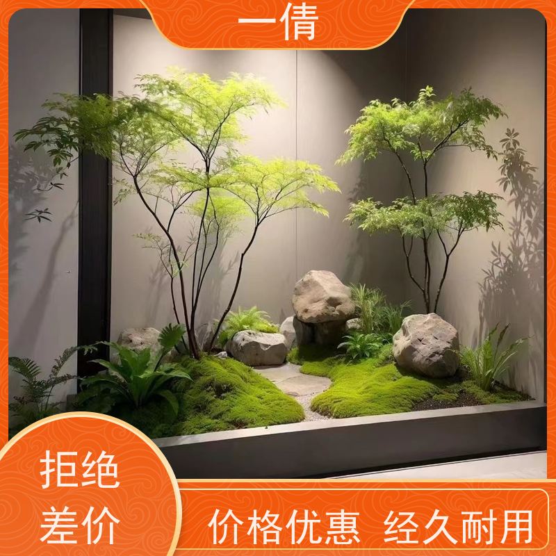 一倩花卉 前台 铁树 开业花篮租赁 桌面绿植 花木护理