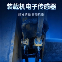 延边族自治州装载机电子秤生产厂家