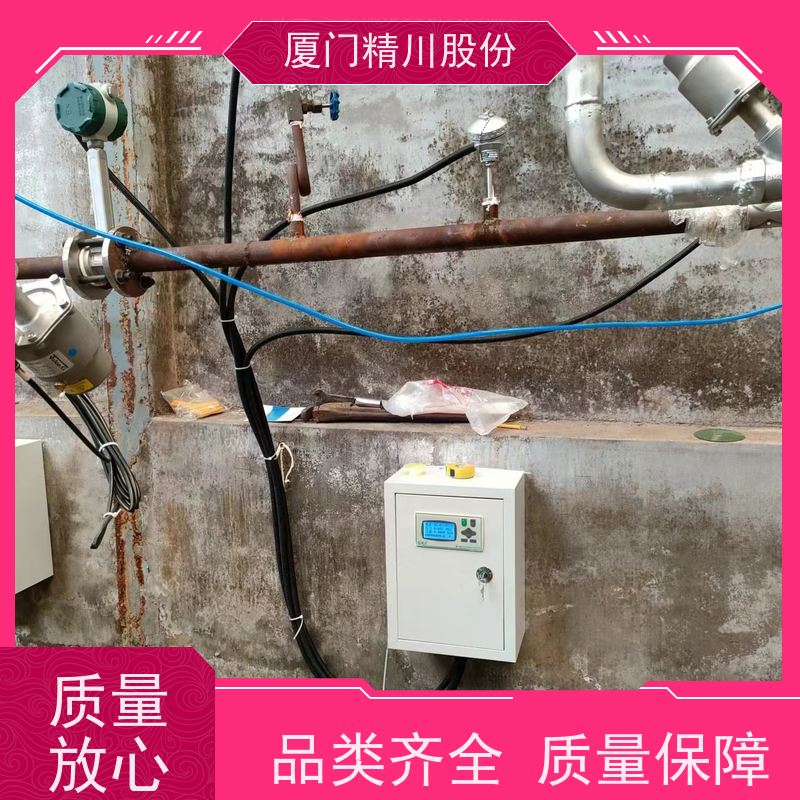 精川股份 合成革厂 蒸汽流量计 可耐温350度 应用广泛