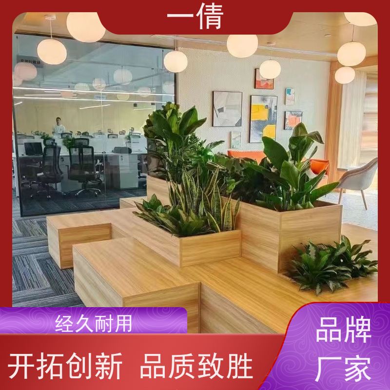 一倩花卉 办公室 三杆发财树 室内植物出租 种类繁多 规格齐全