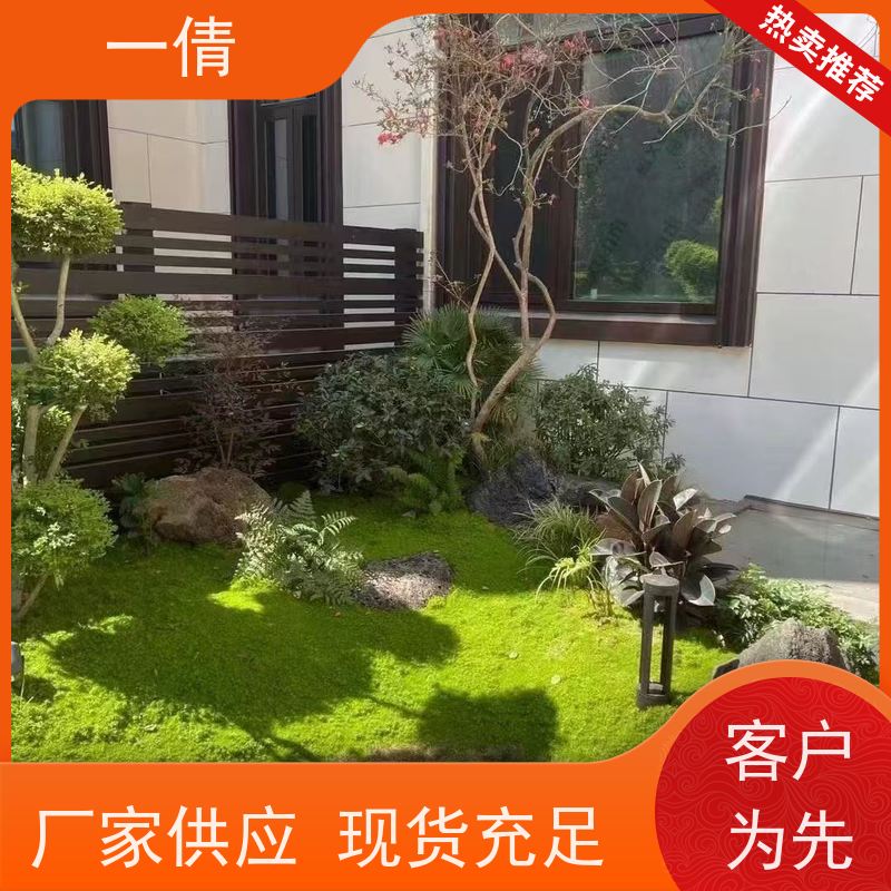 一倩花卉 办公室 杜鹃 绿植租摆 桌面绿植 花木护理
