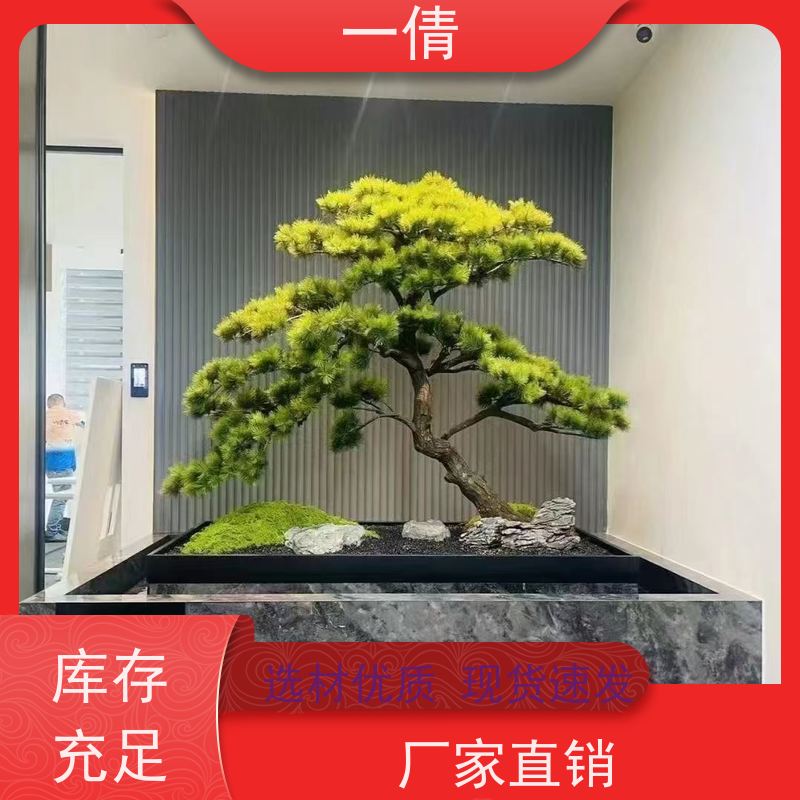 一倩花卉 深圳 富贵籽 开业花篮租赁 桌面绿植 花木护理