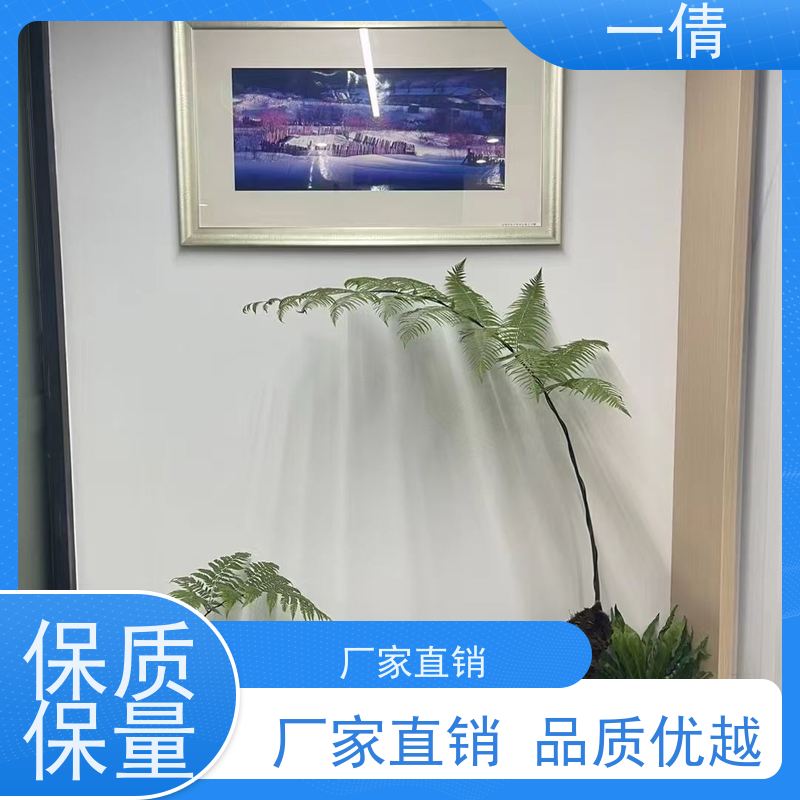 一倩花卉 前台 三层幸福树 室内植物出租 种类繁多 规格齐全