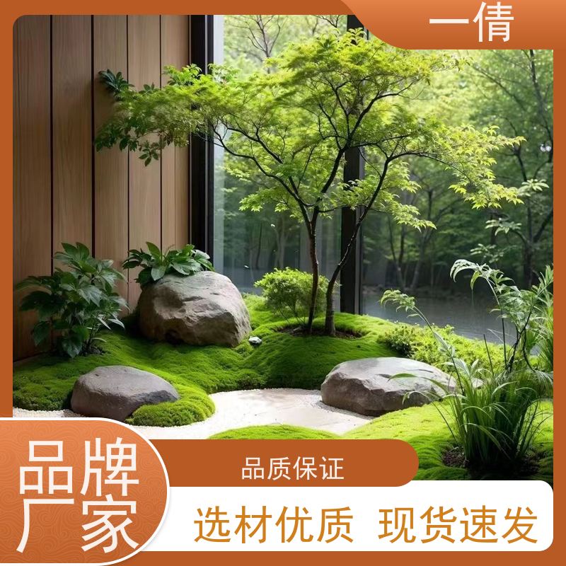 一倩花卉 室内 鸭脚木 绿植租赁 种类繁多 规格齐全