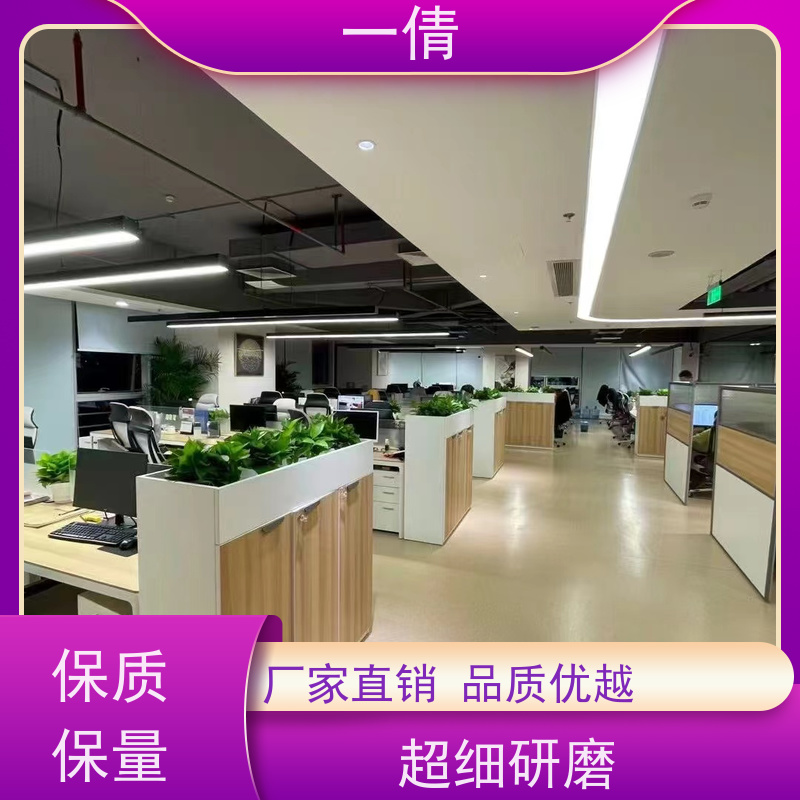 一倩花卉 办公室 百合竹 室内植物出租 种类繁多 规格齐全